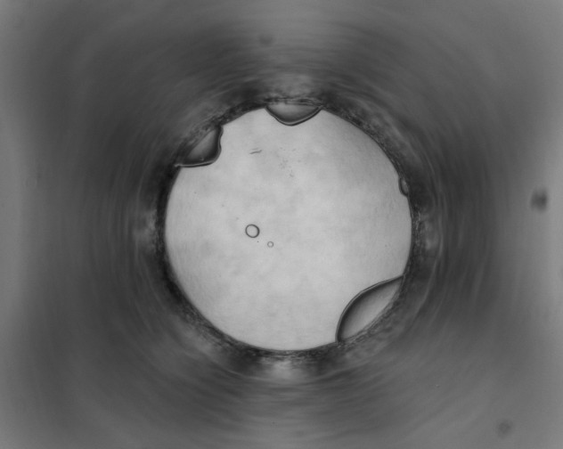 X0000101210564200807251052