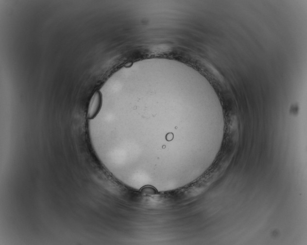 X0000101210565200807251052