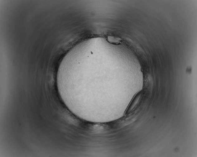 X0000101210566200807251052