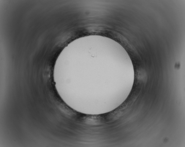 X0000101210567200807251052