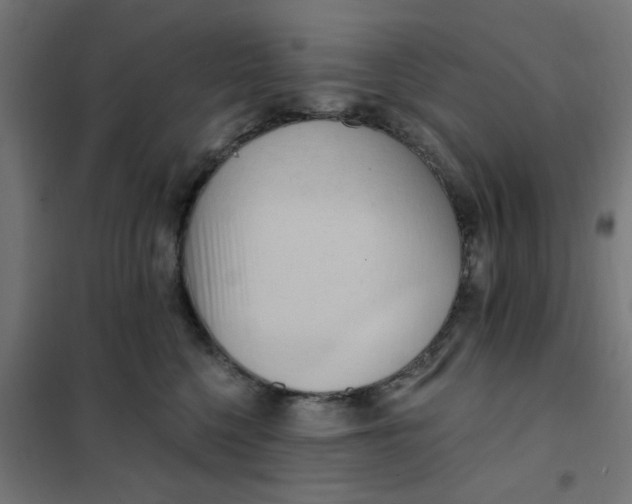 X0000101210568200807251052