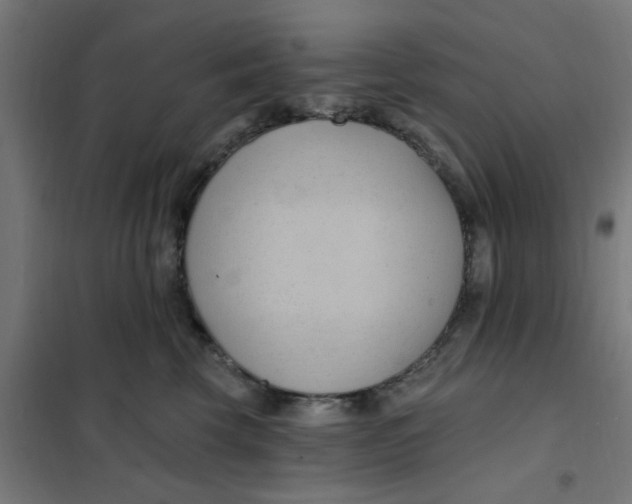 X0000101210569200807251052