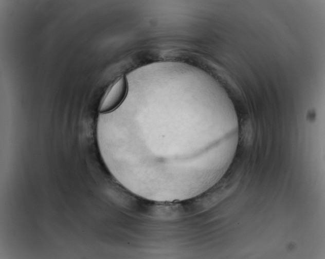 X0000101210571200807251052