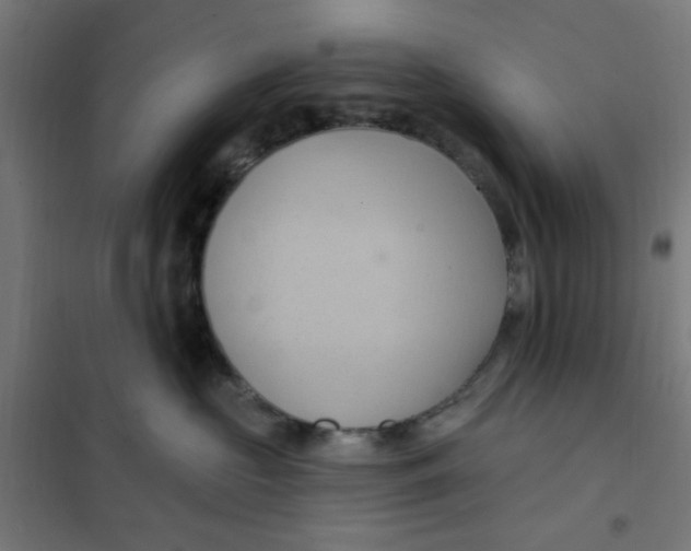 X0000101210573200807251052