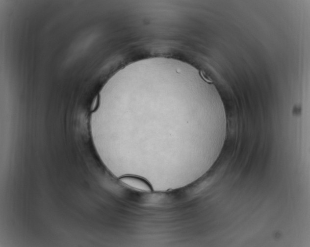 X0000101210575200807251052