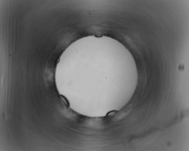 X0000101210576200807251052