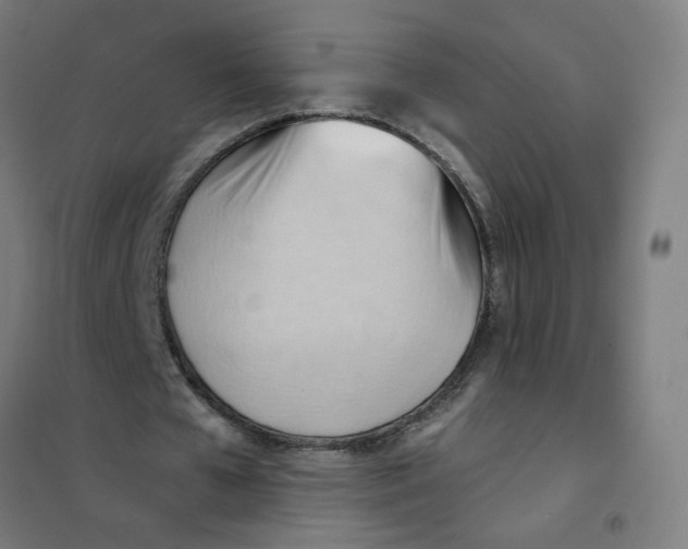 X0000101210577200807251051