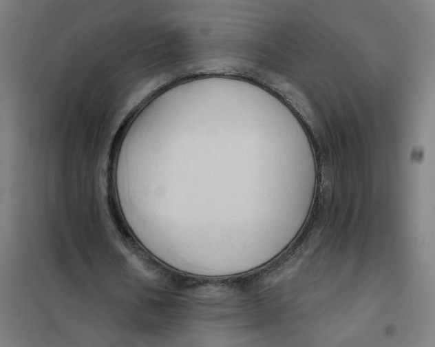 X0000101210578200807251051