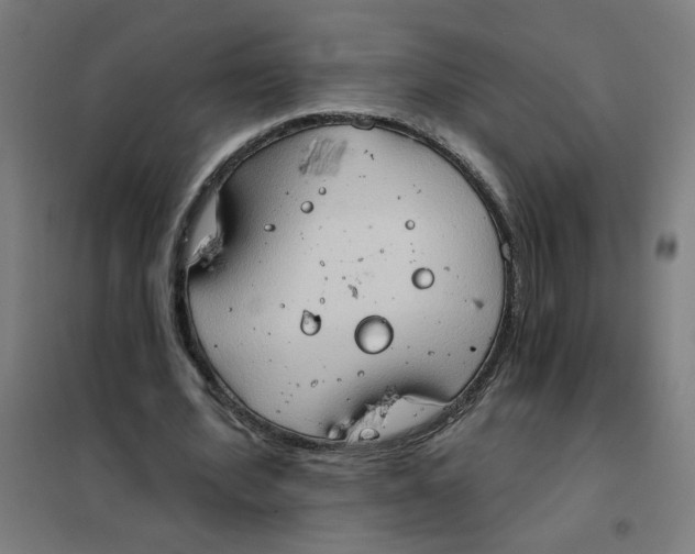 X0000101210580200807251051