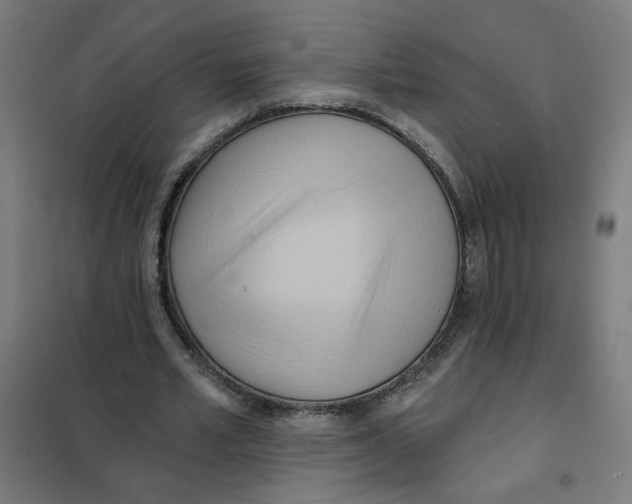 X0000101210581200807251051