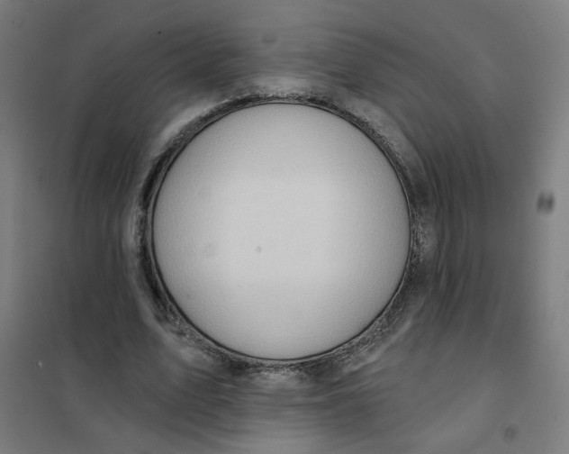 X0000101210583200807251051