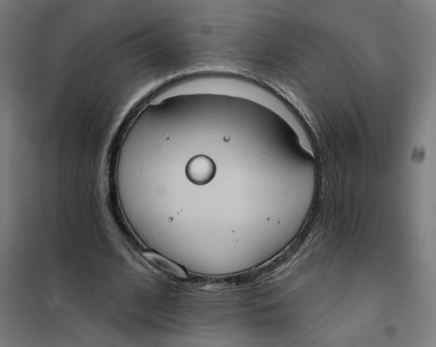 X0000101210584200807251051