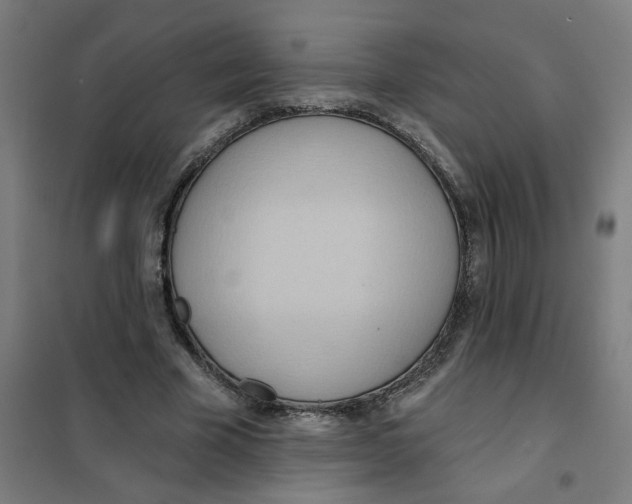 X0000101210585200807251051