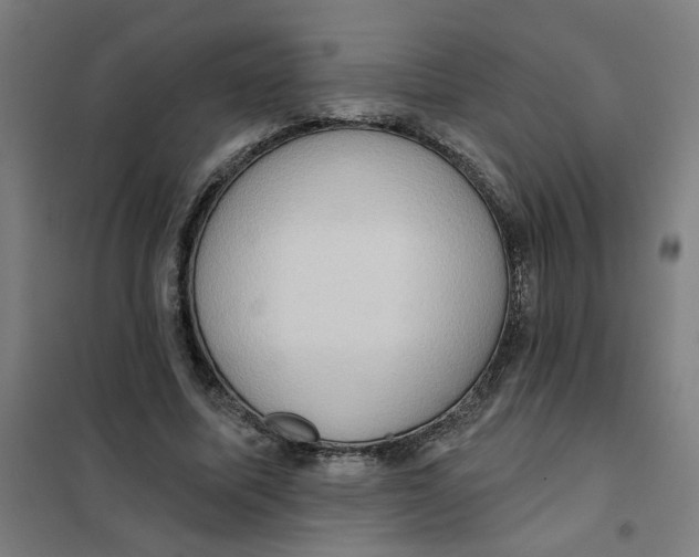 X0000101210587200807251051