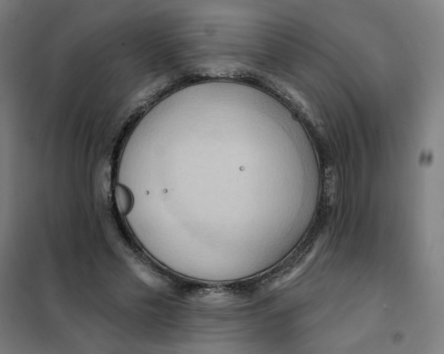 X0000101210589200807251051