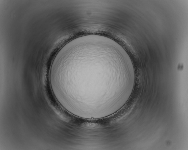 X0000101210590200807251051