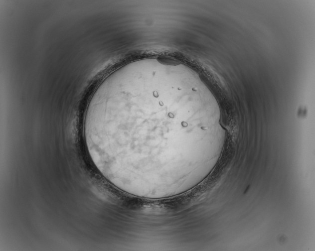 X0000101210591200807251051