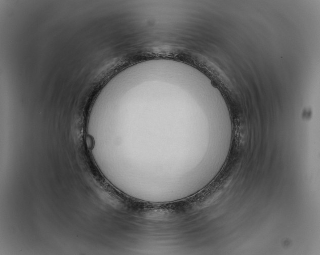 X0000101210593200807251051