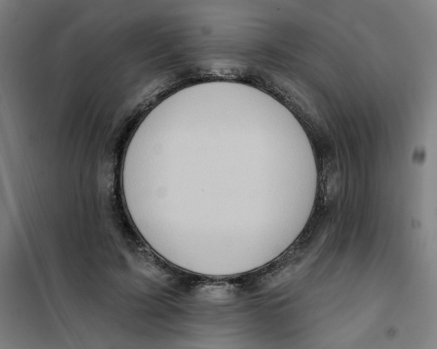 X0000101210595200807251051