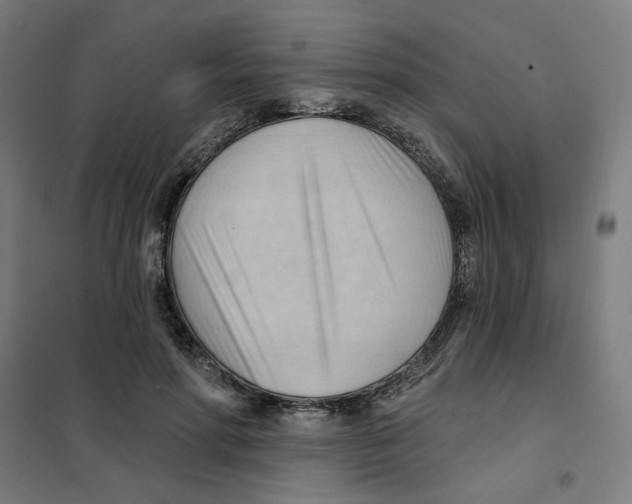 X0000101210598200807251051