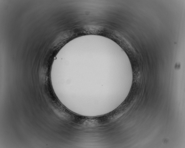 X0000101210599200807251051