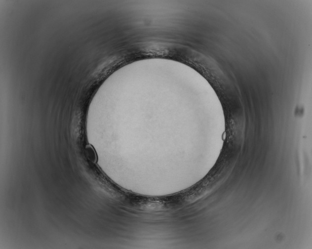 X0000101210600200807251051