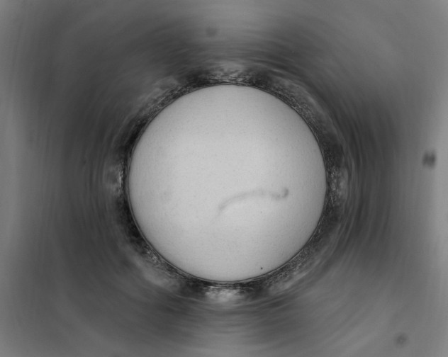 X0000101210602200807251051