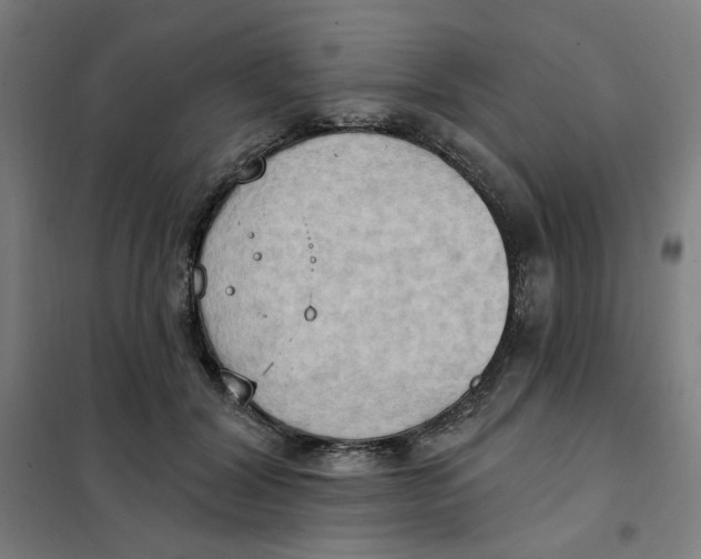 X0000101210604200807251051