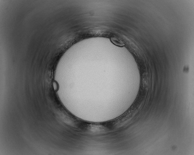 X0000101210605200807251051