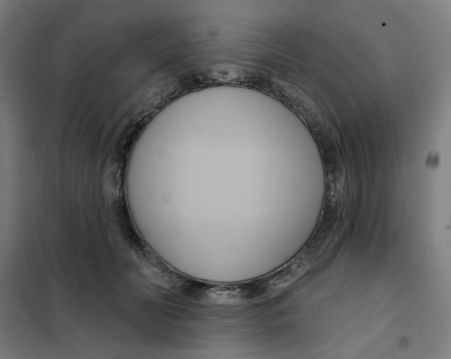 X0000101210606200807251051