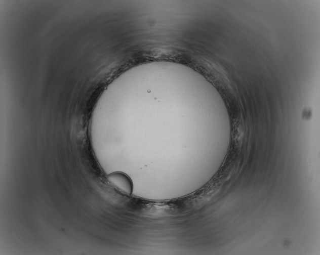 X0000101210607200807251051