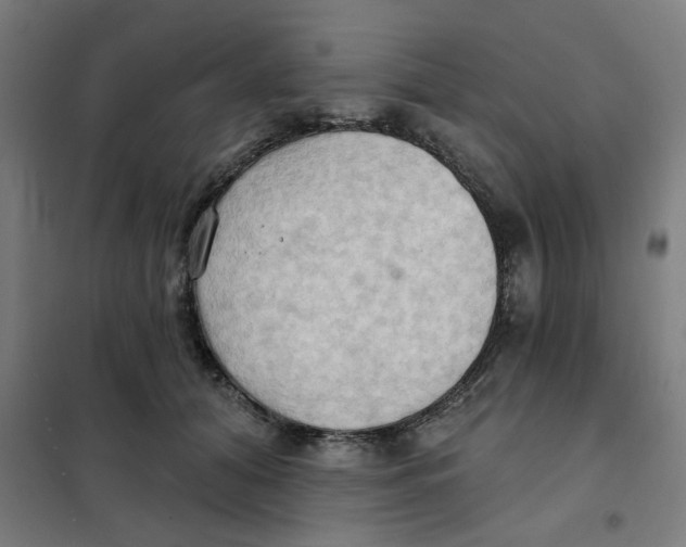 X0000101210608200807251051