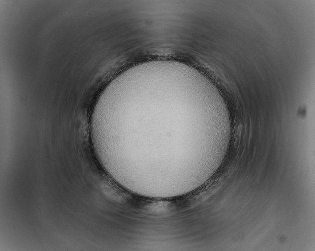 X0000101210609200807251051