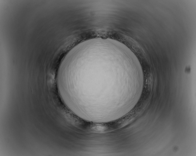 X0000101210610200807251051