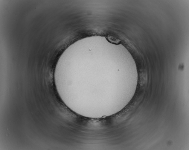 X0000101210613200807251051