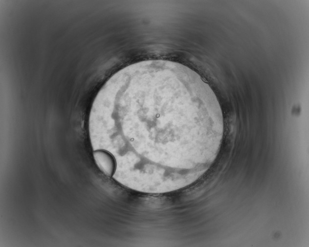 X0000101210615200807251051