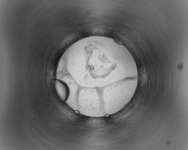 X0000101210619200807251050