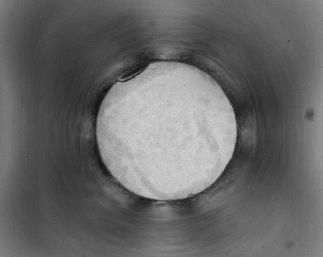 X0000101210620200807251050