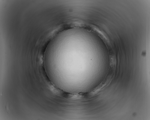 X0000101210621200807251050