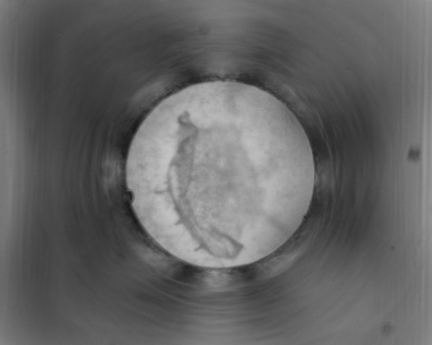 X0000101210623200807251050