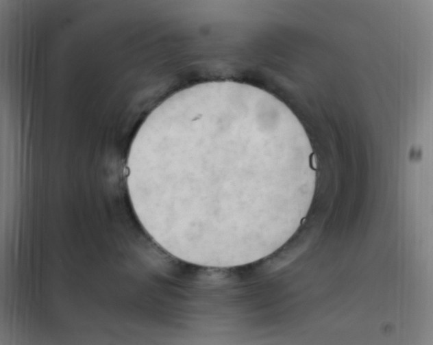 X0000101210624200807251050