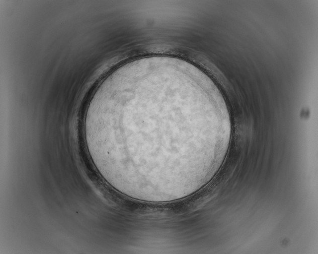 X0000101210626200807251050