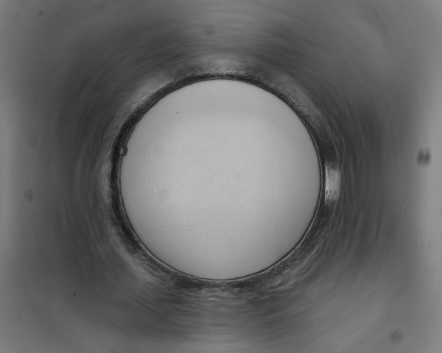 X0000101210627200807251050