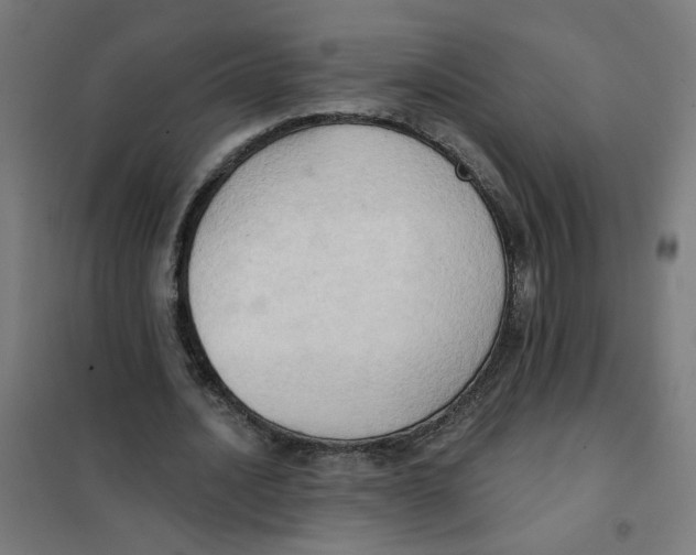 X0000101210628200807251050