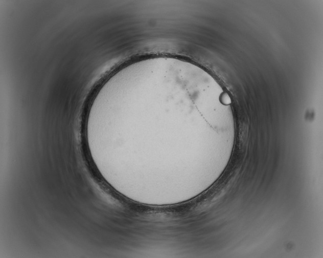 X0000101210629200807251050