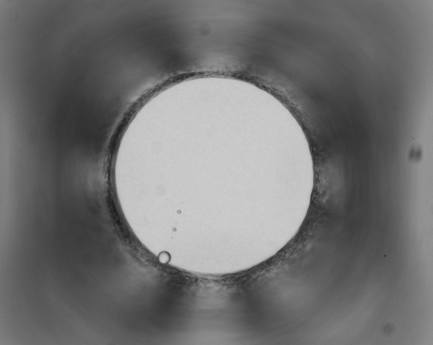 X0000101210632200807251050