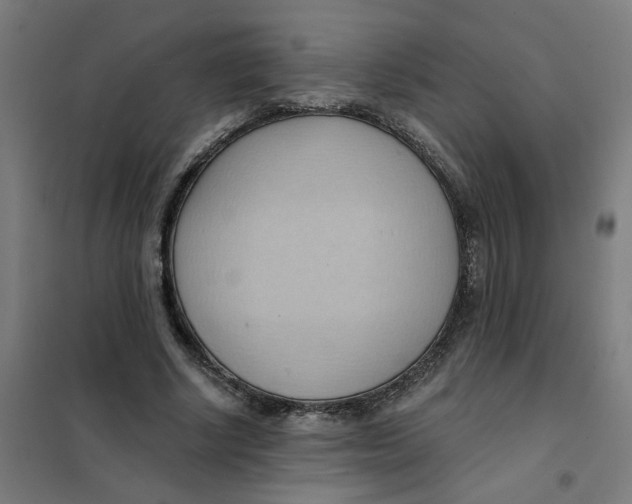 X0000101210634200807251050