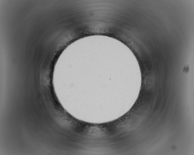 X0000101210635200807251050