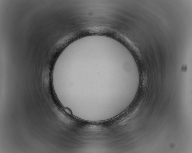 X0000101210637200807251050