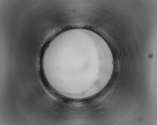 X0000101210638200807251050